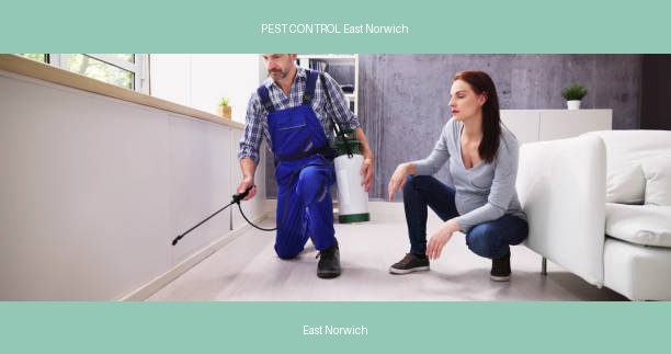 PEST CONTROL East Norwich